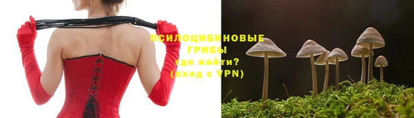 ГАЛЛЮЦИНОГЕННЫЕ ГРИБЫ Горняк